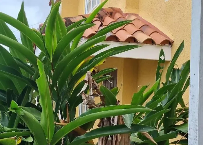 Apartment Mango Retreat In Mango Walk Country Club Montego Bay